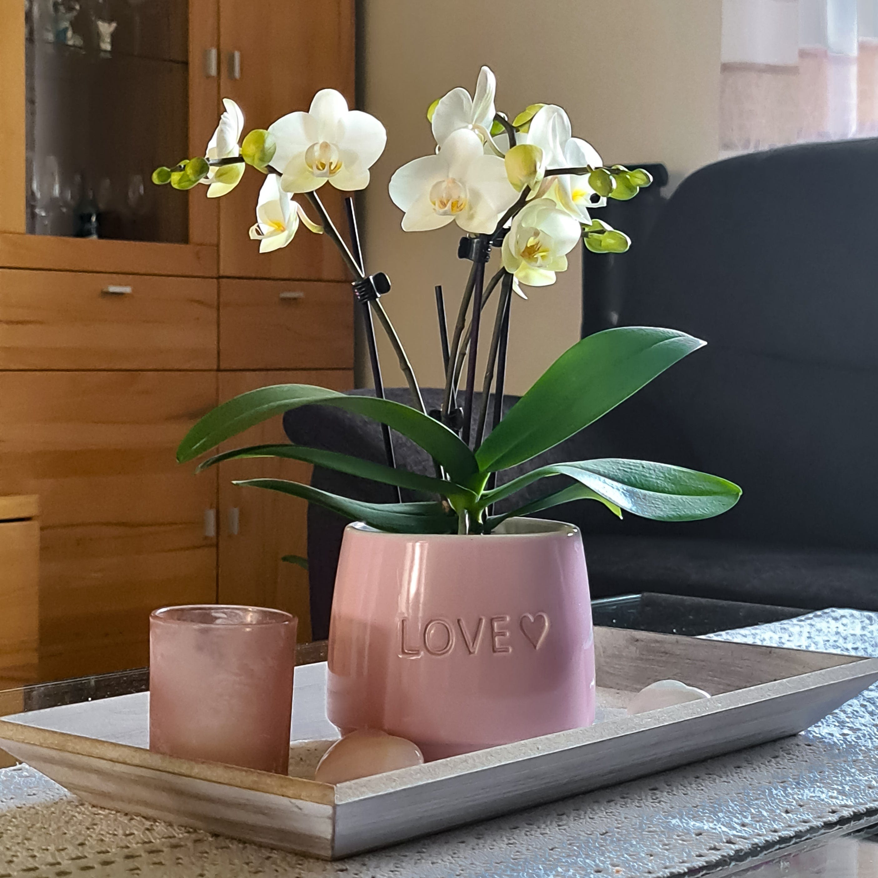 Table Dance Weiß mit weißen Blüten und 3 Rispen