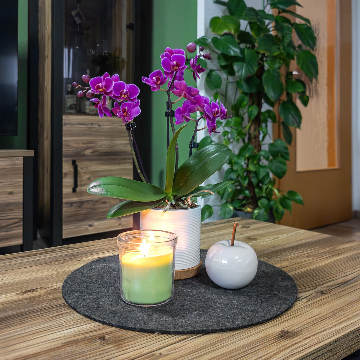 Table Dance Merida mit violetten Blüten und 2 Rispen