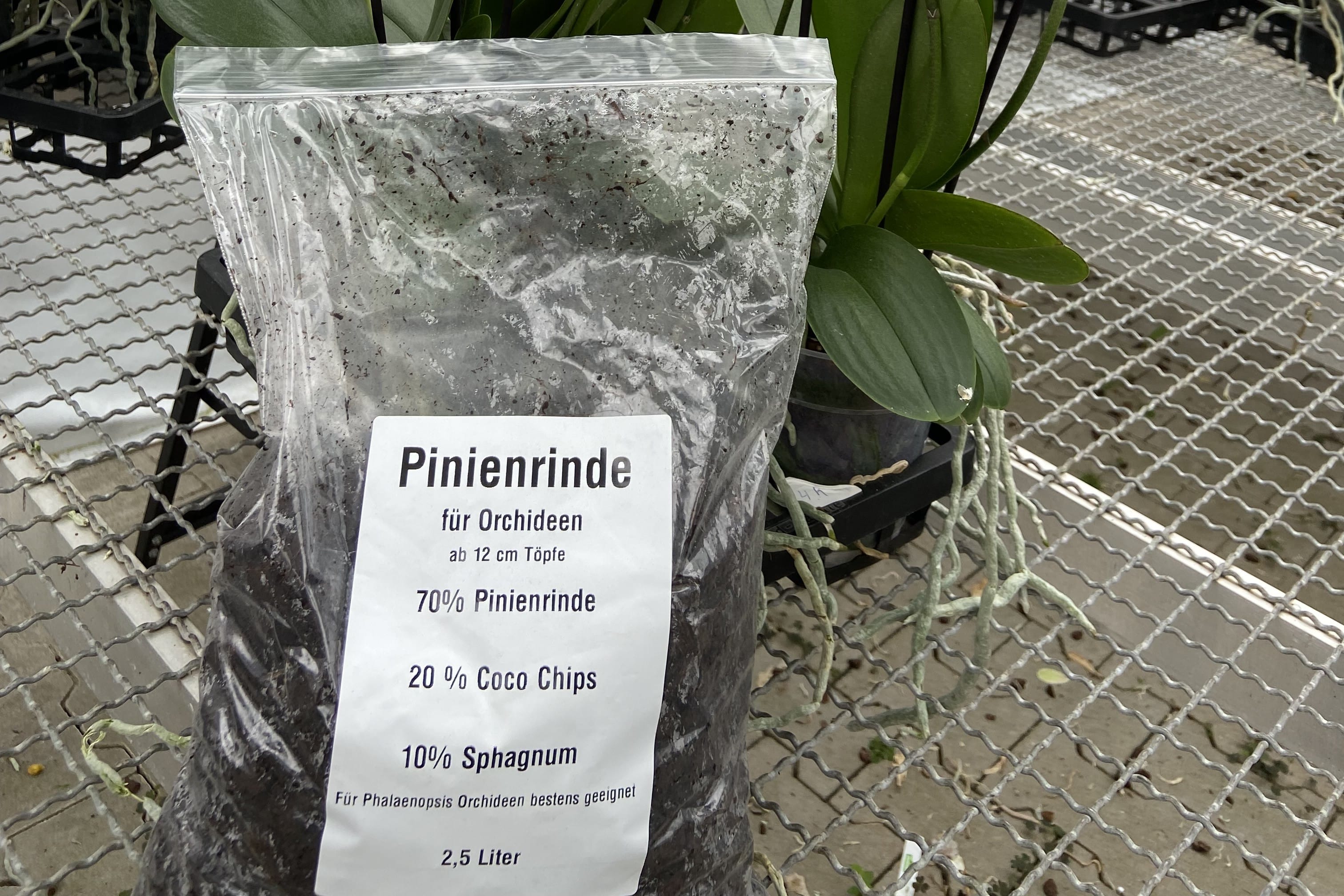 Pinienrinde für Orchideen