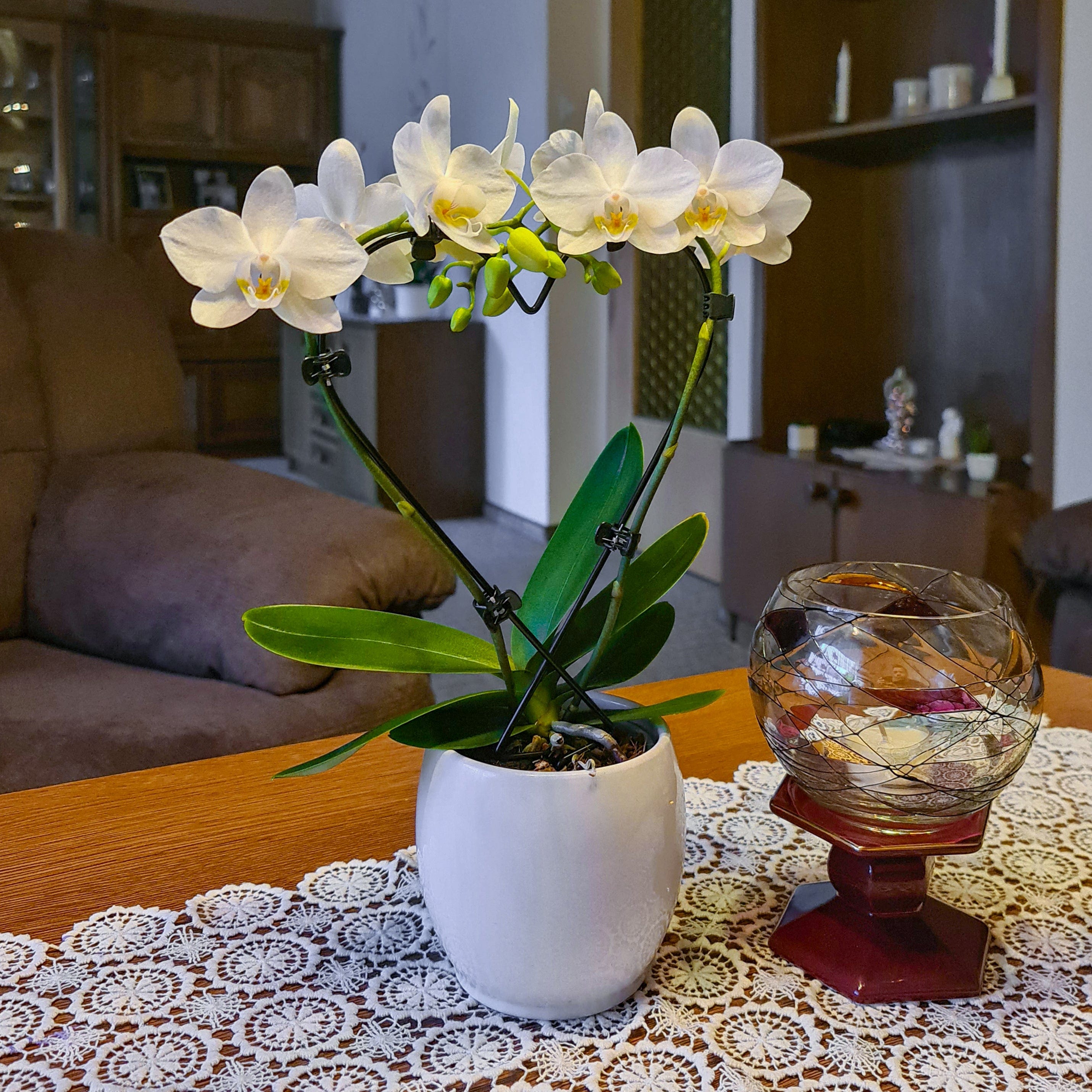 Table Dance Herzform mit weißen Blüten