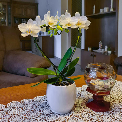 Table Dance Herzform mit weißen Blüten