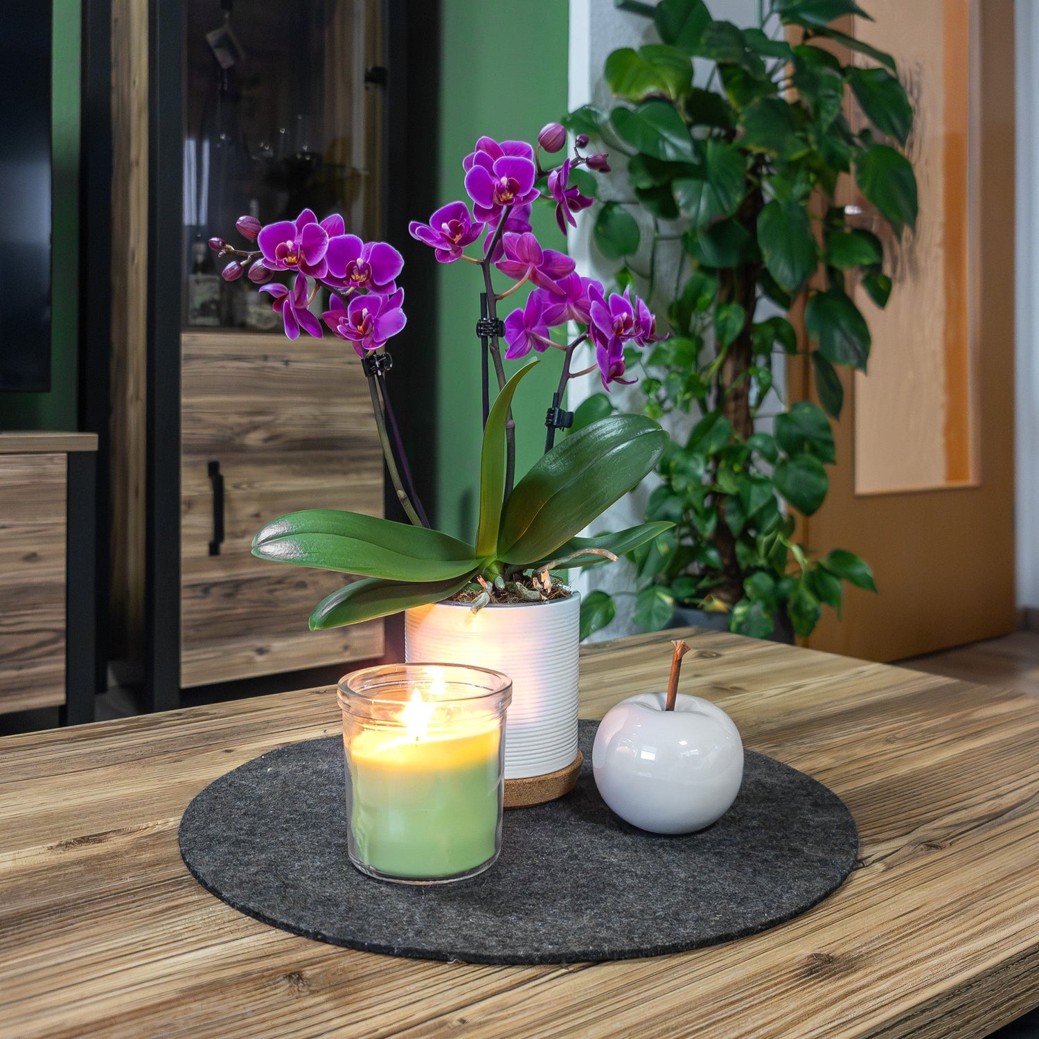Table Dance Merida mit violetten Blüten und 3 Rispen