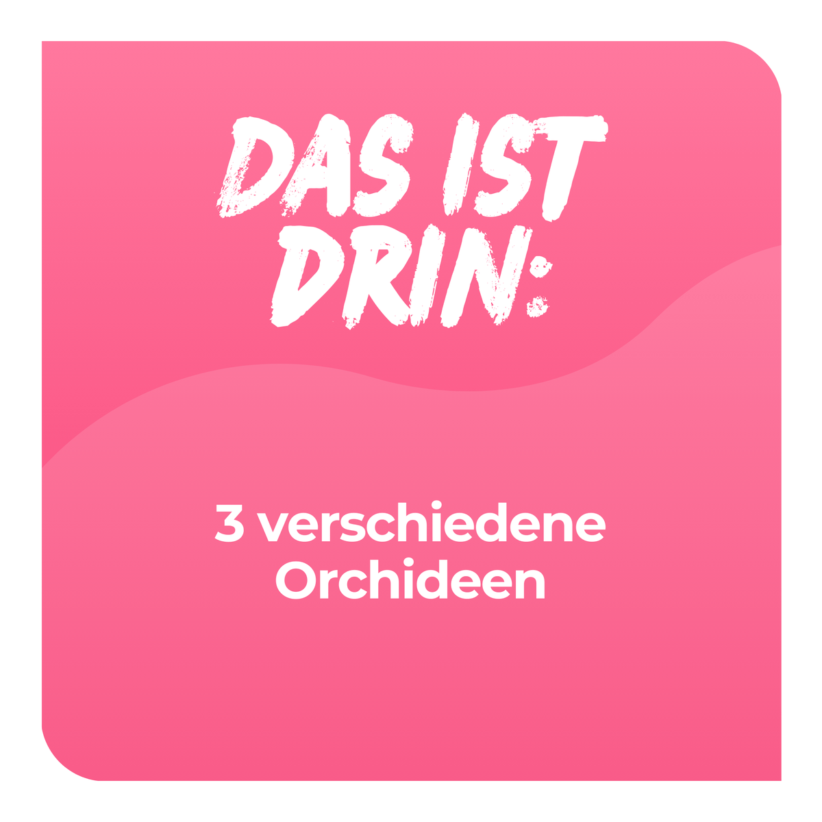 Überraschungspaket Surprise