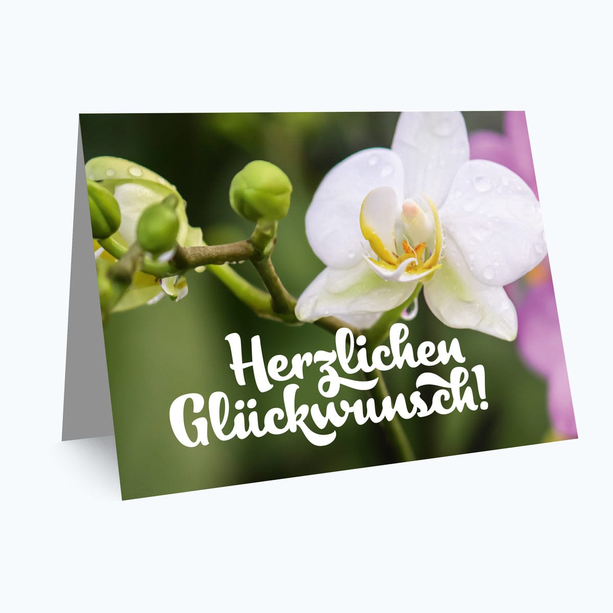 Grußkarte "Herzlichen Glückwunsch"