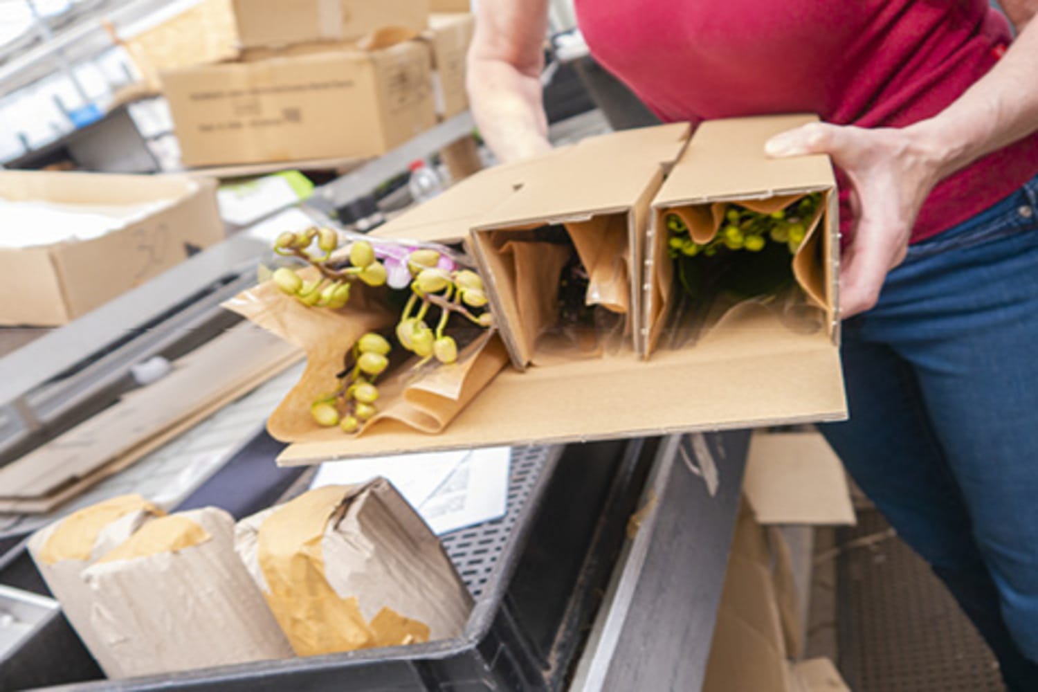 Orchideen verpacken