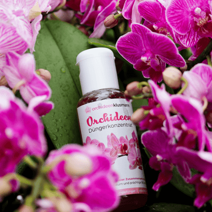 Orchideendünger in Dosierflasche, hochkonzentriert